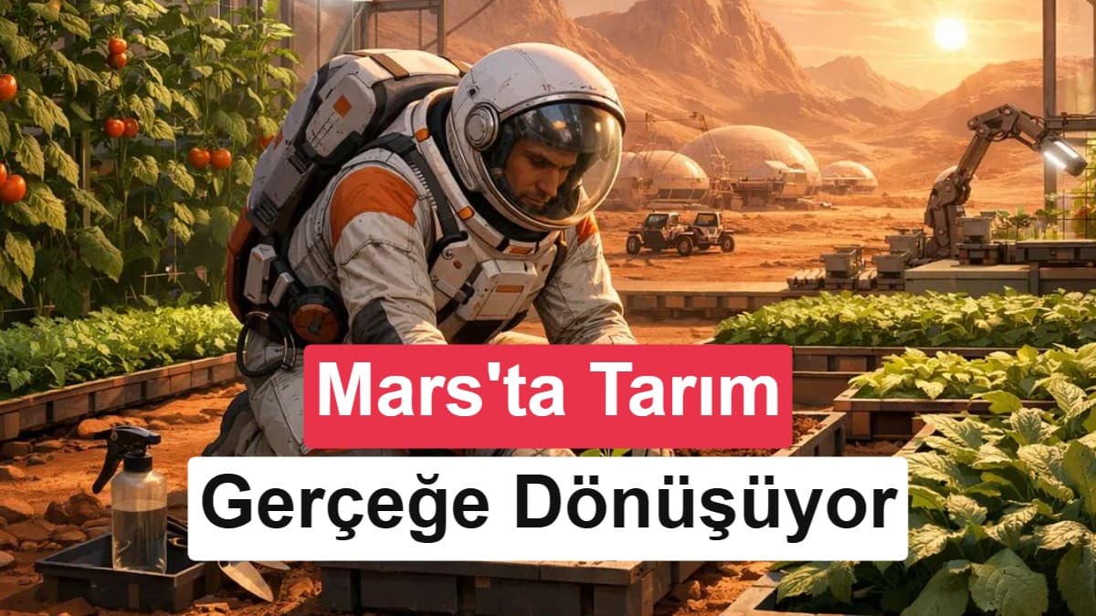 Mars'ta tarım için umut: Mantarlar toprağı dönüştürebilir mi?