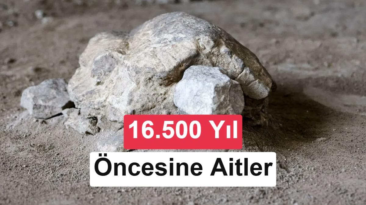 Bilecik'te 16.500 yıllık kaplumbağa heykelleri bulundu