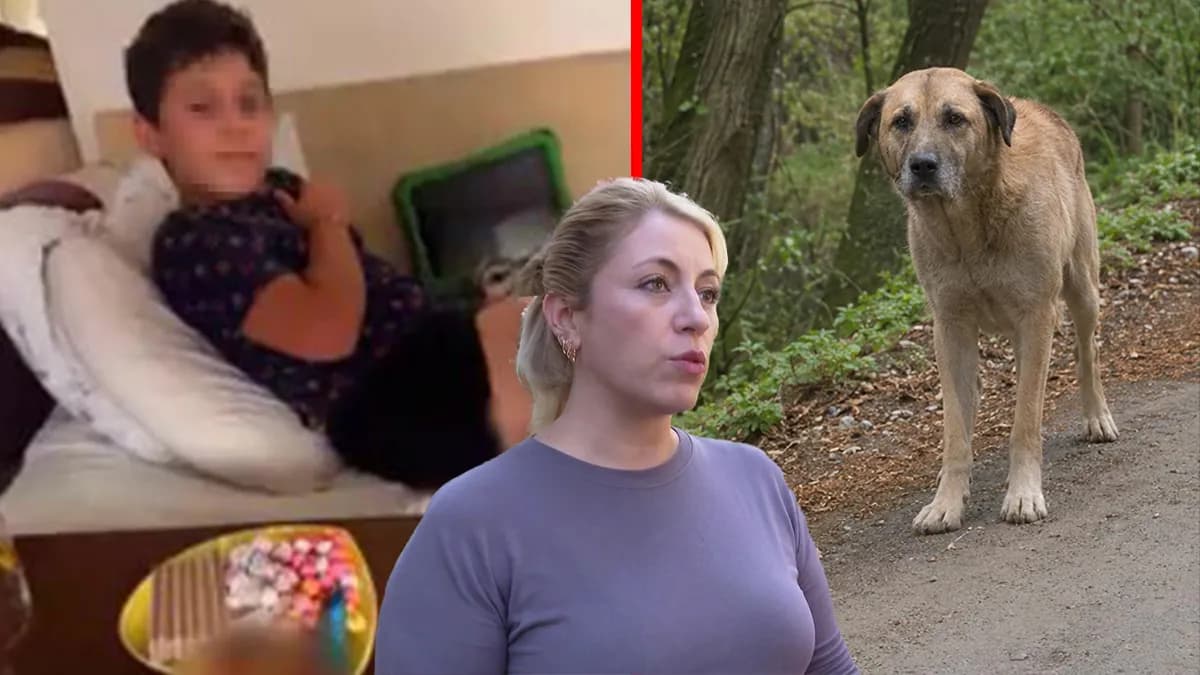 Bahçeşehir’de çocuğa köpek saldırısı nasıl yaşandı? Site sakinleri neden dışarı çıkamadıklarını söylüyor?