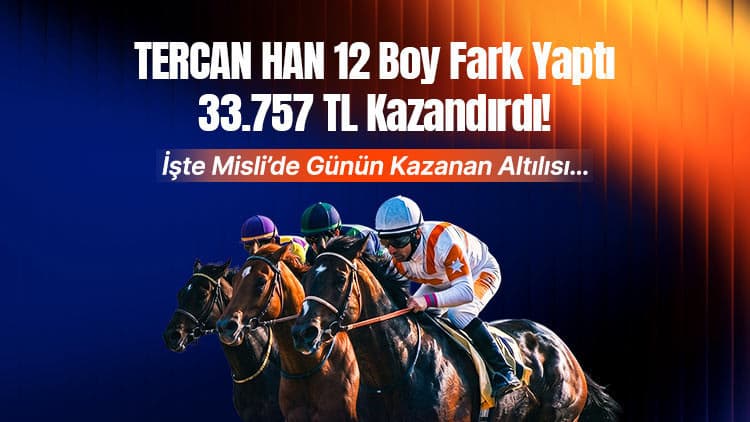 Bursa'da Tercan Han'dan 12 boy fark