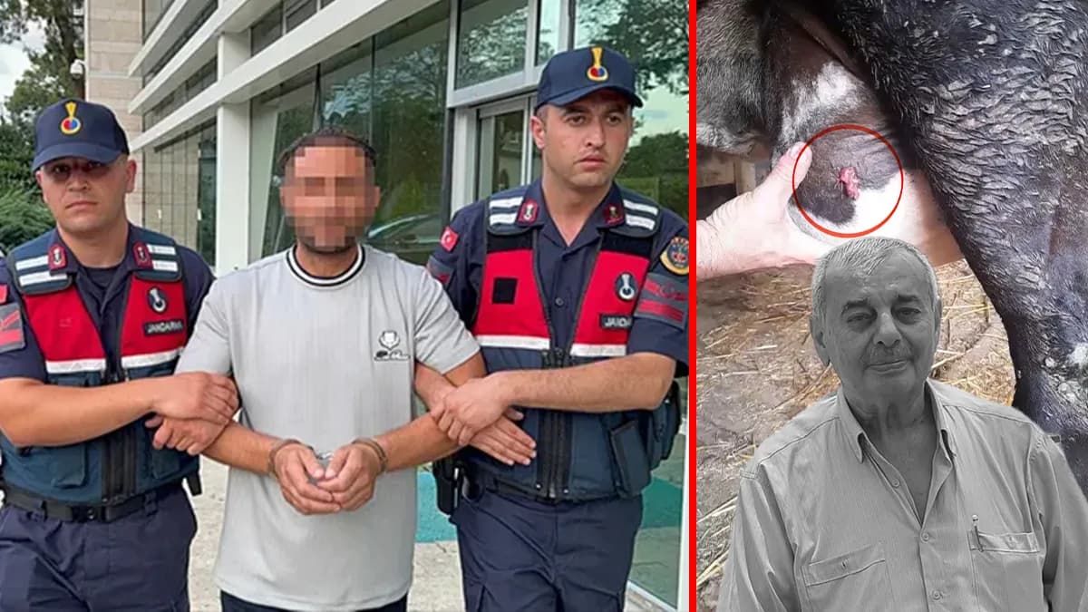 Samsun ayva dalı cinayetinde inekten çıkan mermi neyi gösterecek? M.Ç. ne söyledi, kriminal inceleme neyi belirleyecek?