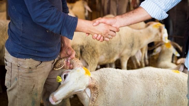 Kurban Bayramı tarihlerini gösteren takvim görseli