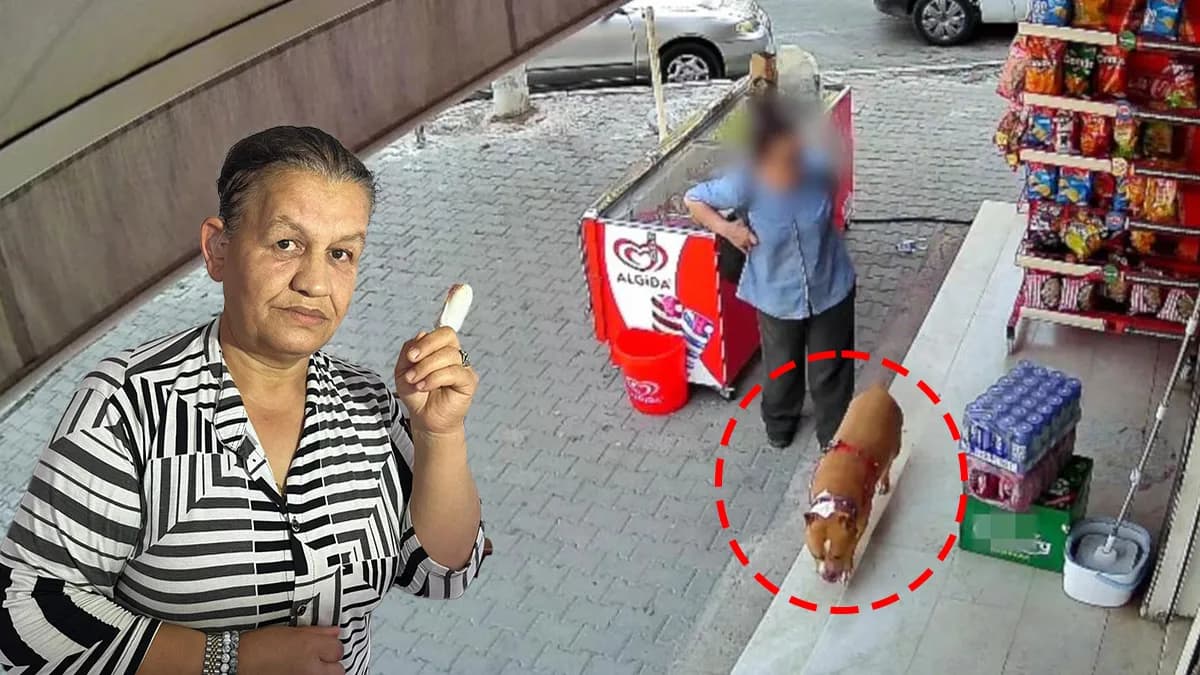 İzmir’de ağızlıksız pitbull saldırısında ne oldu? Ayşe Ortan’ın parmağı nasıl koptu?