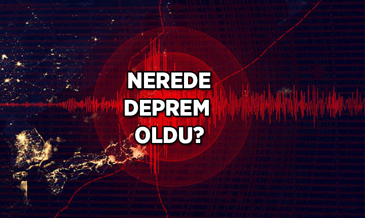 Deprem kayıtlarını gösteren genel bir sismik veri ekranı