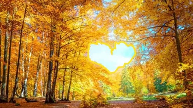 Turuncu ve sarı yapraklarla kaplı sonbahar yolunun huzurlu ve melankolik görüntüsü.