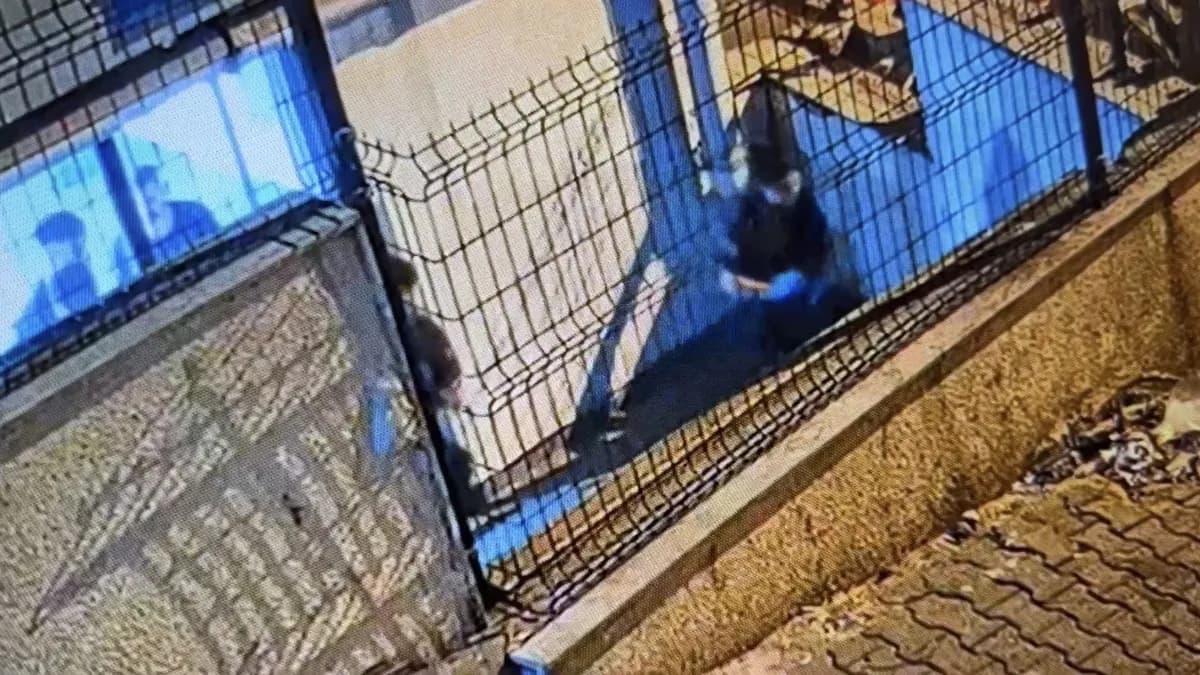 Nisa Nur Oğul'un yaşamını yitirdiği haberde yer alan İstanbul Kağıthane'deki rezidans görseli.