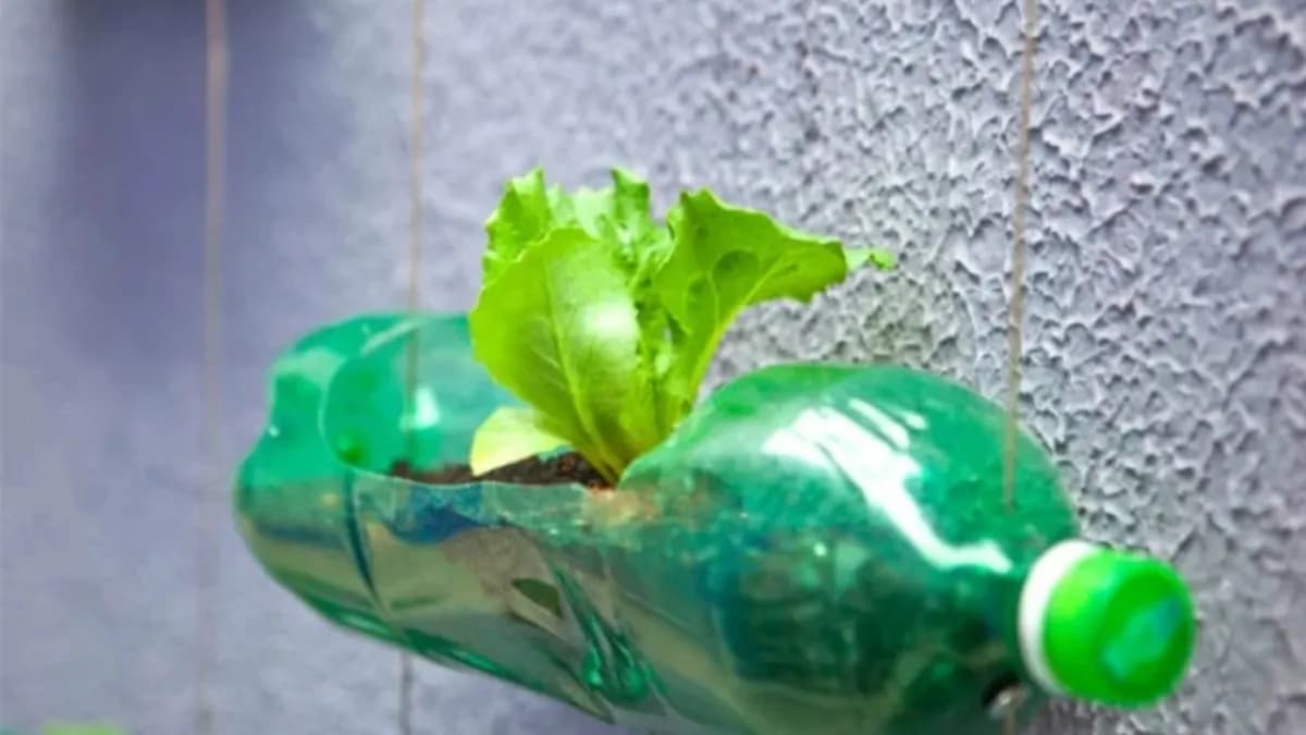 Plastik şişeleri sakın atmayın: balkon ve bahçe için 4 pratik değerlendirme yöntemi