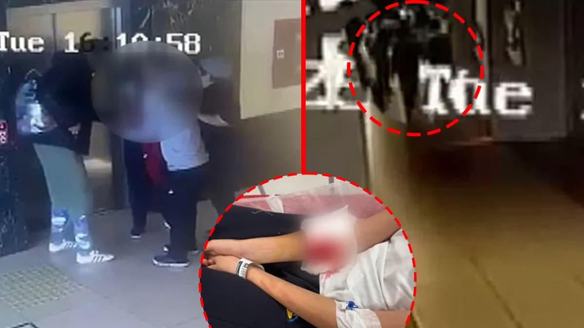 Ankara Çubuk'ta özel okulda kapı kolu öğrencinin atardamarını kesti: bilirkişi raporunda kimler kusurlu bulundu, aile hangi davaları açtı?