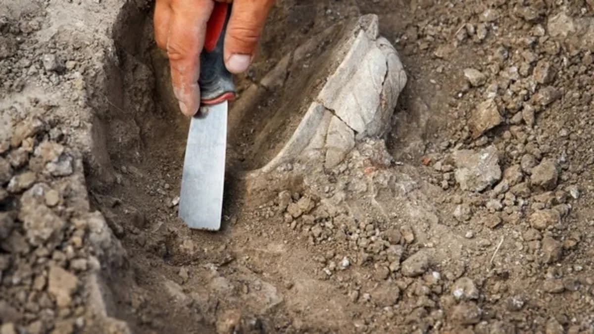 Polonya'da Vistül Nehri'nin dibinde bulunan 1000 yıllık kılıç hangi döneme ait, nasıl korundu ve şimdi ne olacak?