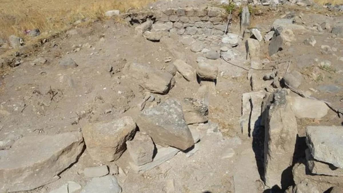 Elazığ'da kiraz fidanı dikerken bulunan 1700 yıllık Roma mozaiği nedir? 84 metrekarelik mozaikte hangi hayvan figürleri yer alıyor?