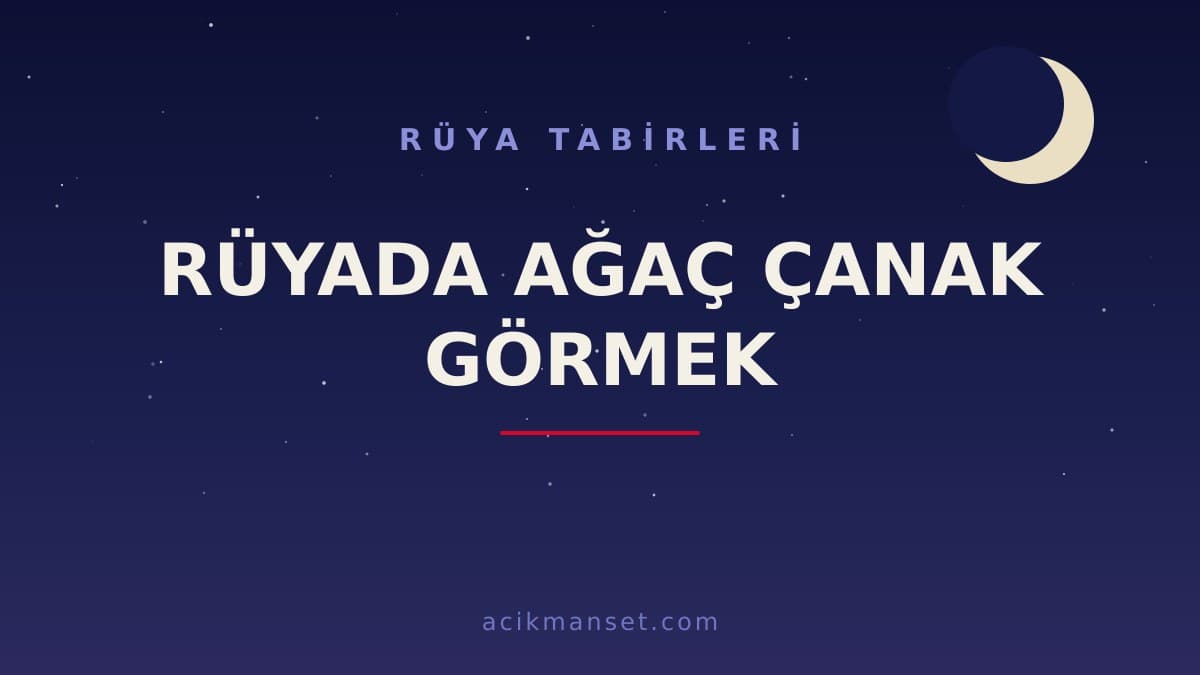 Rüyada ağaç çanak görmek ne anlama gelir? Rüyada ağaç çanak görmek hayırlı mıdır, dini ve psikolojik yorumu nedir?