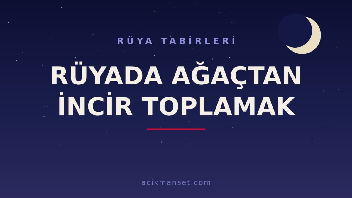 Rüyada ağaçtan incir toplamak ne anlama gelir? Dini yorumu nedir, hayırlı mıdır ve nasıl yorumlanır?