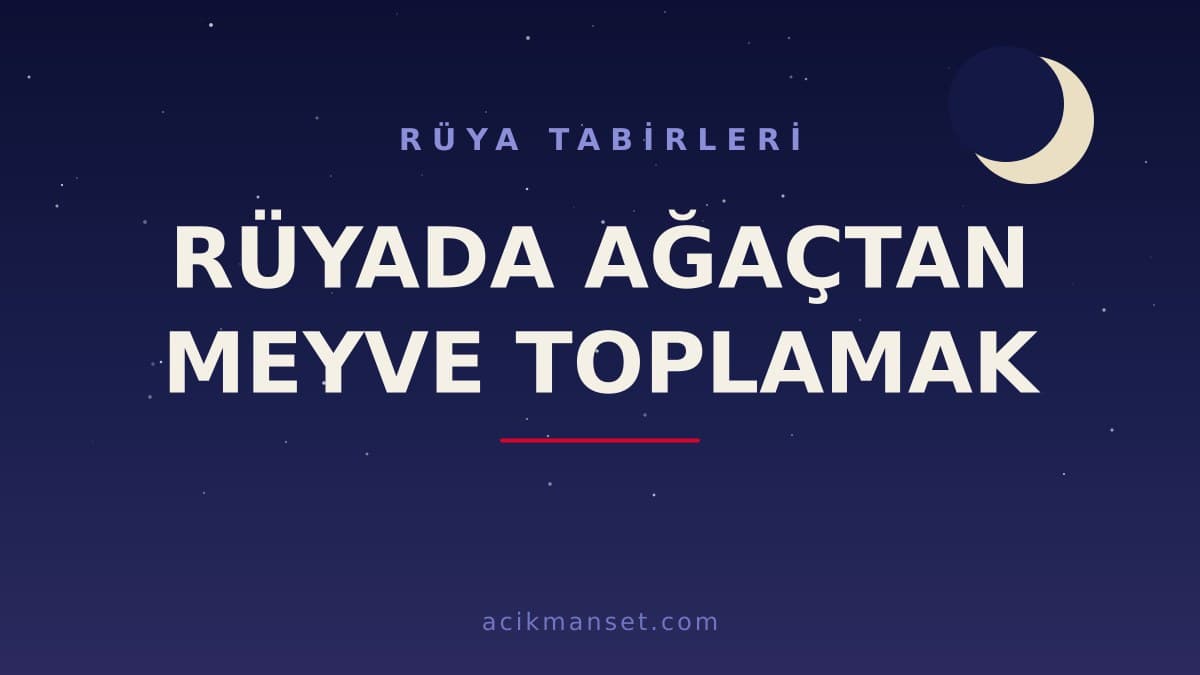 Rüyada ağaçtan meyve toplamak ne anlama gelir, ne demek? Dini ve psikolojik yorumu nedir?